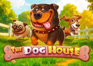 blue1688 ทางเข้าล่าสุด The Dog House ทดลองเล่นฟรี